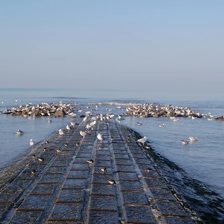 Daire Residentie Promenade Koksijde