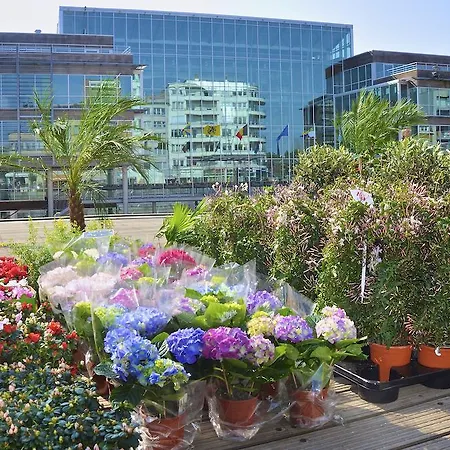 Residentie Promenade קוקסיידה